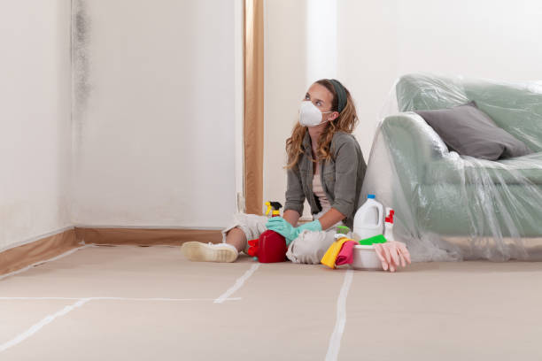 Reliable Mold Cleanup contractor in Finksburg, MD by WQB Mold Removal